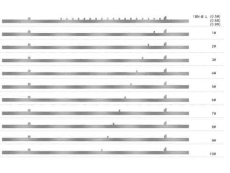 selectors for sock knitting machines